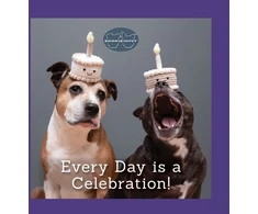 KNYGA Jani Oja Sookie and Ivy Every Day Is a Celebration
