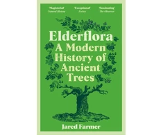 KNYGA Jared Farmer Elderflora