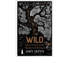 KNYGA Jeffs, Amy Wild: Tales from Early Medieval Britain from the Bestselling author of Storyland