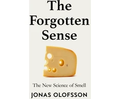 KNYGA Jonas Olofsson Forgotten Sense