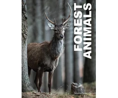 KNYGA Julianna Photopoulos Forest Animals