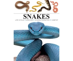 KNYGA Julianna Photopoulos Snakes