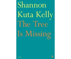 KNYGA Kelly, Shannon Kuta Tree Is Missing