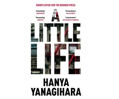 KNYGA Booktok Little Life