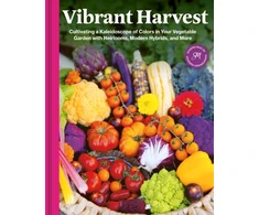 KNYGA Mao Sandra Vibrant Harvest