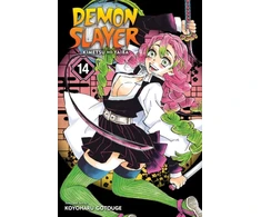KNYGA Koyoharu Gotoge Demon Slayer: Kimetsu no Yaiba, Vol. 14