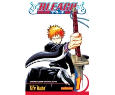 KNYGA Kubo, Tite Bleach, Vol. 1: Strawberry and the Soul Reapers