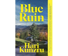 KNYGA Kunzru, Hari Mėlyna Ruin