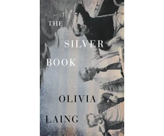 KNYGA Laing, Olivia Sidabrinis Book