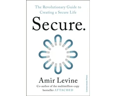 KNYGA Levine, Amir Secure: The Revolutionary Guide to Creating a Secure Life
