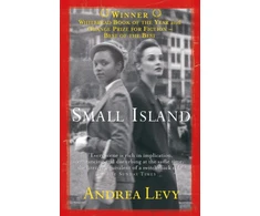 KNYGA Levy Andrea Small Island: Winner of the 'best of the best' Oranžinis Prize