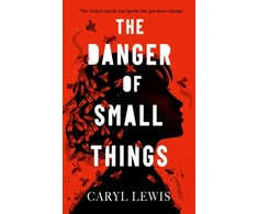 KNYGA Lewis Caryl Danger of Small Things: The YA debut from an award-winning and bestselling Welsh storyteller