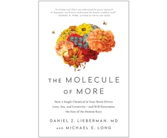 KNYGA Daniel Molecule of More: How a Single Chemical in Your Brain Drives Love, Sex, and Creativity--and Will Determine the Fate of the Human Race