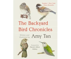 KNYGA Little Backyard Bird Chronicles