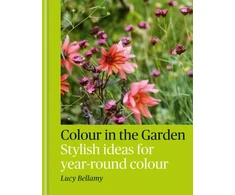 KNYGA Lucy Bellamy Colour in the Garden