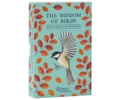 KNYGA Maniquiz Raxenne Wisdom of Birds: Oracle Deck &amp; Guidebook