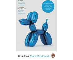 KNYGA Mark Miodownik It's a Gas