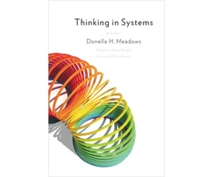 KNYGA Meadows, Donella Thinking in Systems: International Bestseller