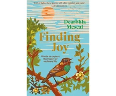 KNYGA Mescal Dearbhla Finding Joy: Words to capture the beauty of ordinary life | THE NUMBER ONE BESTSELLER