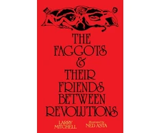 KNYGA Mitchell, Larry Faggots and Their Friends Between Revolutions