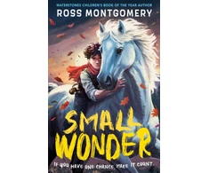 KNYGA Montgomery Ross Small Wonder, The hotly anticipated new novel from award-winning Ross Montgomery, winner of Waterstones Children’s Book of the Year 2024 – fantasy adventure perfect for ages 9, 10, 11, 12