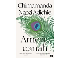 KNYGA Ngozi Adichie Chimamanda Americanah
