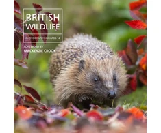 KNYGA Nicholls Will British Wildlife Photography Awards 14