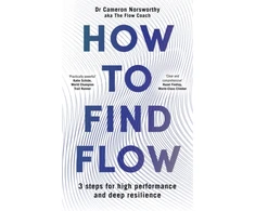 KNYGA Norsworthy, Cameron How to Find Flow: 3 steps for high performance and deep resilience
