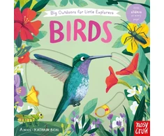 KNYGA Nosy Crow Big Outdoors for Little Explorers: Birds