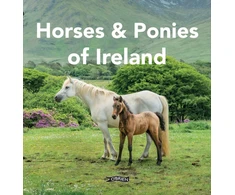 KNYGA Oconnor Sarah Horses and Ponies of Ireland