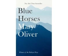 KNYGA Oliver Mary Mėlyna Horses