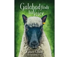 KNYGA Bookshop Olson Grace Galahad finds his Voice
