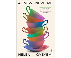 KNYGA Oyeyemi Helen New New Me