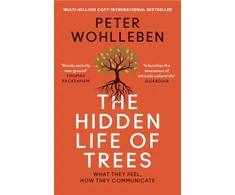 KNYGA P Wohlleben Hidden Life of Trees