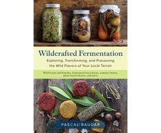 KNYGA Pascal Baudar Wildcrafted Fermentation