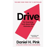 KNYGA Pink Daniel H Drive: The Surprising Truth About What Motivates Us
