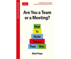 KNYGA Pope Nick Are You a Team or a Meeting?: How to Build Teams That Win: An Economist Edge book