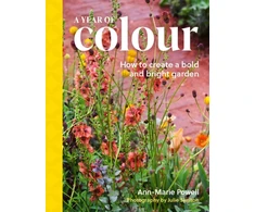 KNYGA Powell Ann Marie Year of Colour: How to create a bold and bright garden
