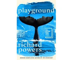 KNYGA Richard Powers Undifferentiated Powers Richard Playground