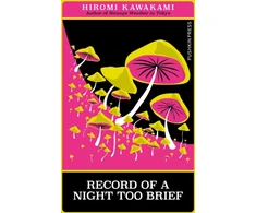 KNYGA Record of a Night Too Brief