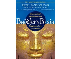 KNYGA Rick Hanson Buddha's Brain