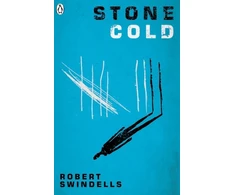 KNYGA Robert Swindells Stone Cold