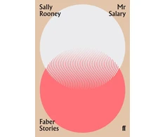 KNYGA Rooney Sally Mr Salary: Faber Stories
