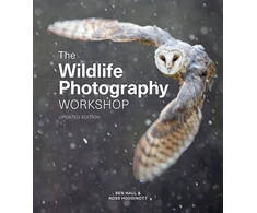 KNYGA Ross Hoddinott Wildlife Photography Workshop, The