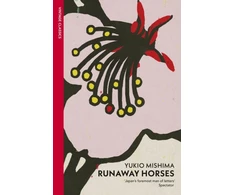 KNYGA Runaway Horses