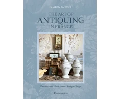 KNYGA Santoni, Sharon Art of Antiquing in France: Flea Markets - Brocantes - Antique Shops