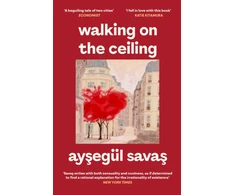 KNYGA Savas Aysegul Walking on the Ceiling