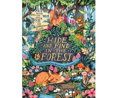 KNYGA Scholastic Hide and Find in the Forest: A Lift-the-Flap Woodland Adventure