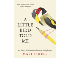 KNYGA Sewell, Matt Little Bird Told Me: An Illustrated Compendium of Bird Phrases
