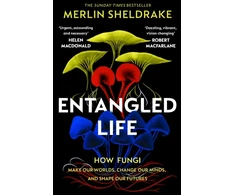 KNYGA Sheldrake Merlin Entangled Life: How Fungi Make Our Worlds, Change Our Minds and Shape Our Futures